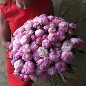 Букет 75 розовых пионов с оформлением R1094